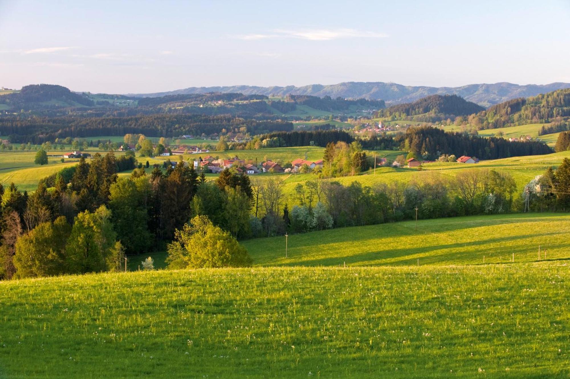 Allgaeu-Glueck Gruenenbach Grunenbach Exteriér fotografie